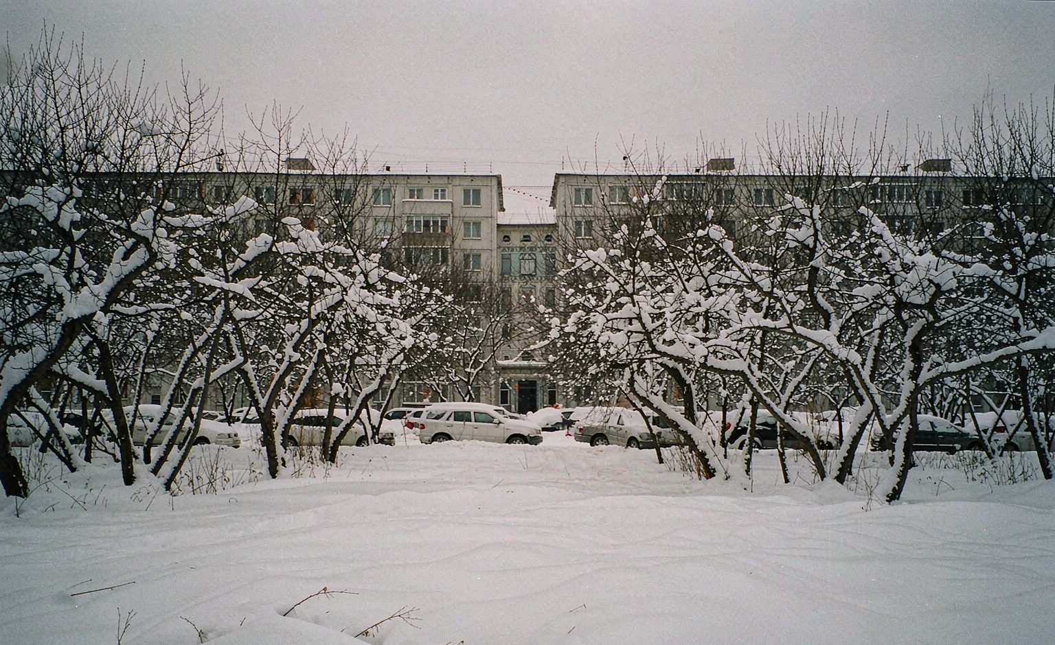 Московский двор зимой: снег, серое небо, −12 °C